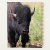 Bison Close Up Planner (Achterkant)