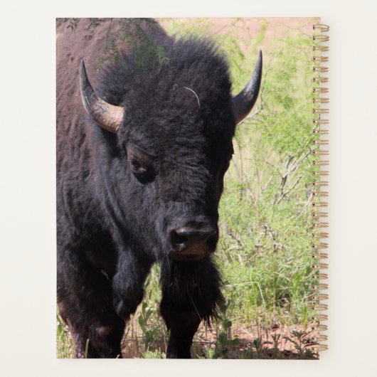 Bison Close Up Planner (Achterkant)