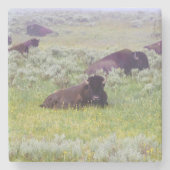 Bison Coaster Stenen Onderzetter (Voorkant)