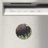 Bison Crossing Magneet (Insitu (Vaatwasser))