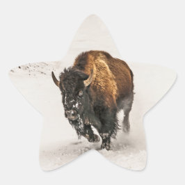 Bison die door de sneeuw in geelsteen zweeft ster sticker
