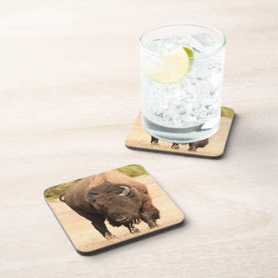 Bison Drankjes Onderzetter