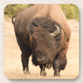 Bison Drankjes Onderzetter (Voorkant)