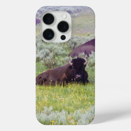 Bison Dreams Phone Wallet Case-Mate iPhone Case (Achterkant)