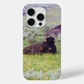 Bison Dromen Telefoon Portemonnee Case-Mate iPhone Case (Achterkant)
