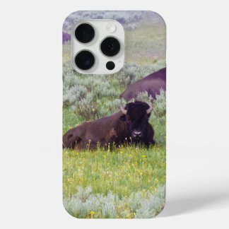 Bison Dromen Telefoon Portemonnee iPhone 15 Pro Case