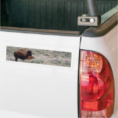 Bison en Calf Bumpersticker (Op Truck)