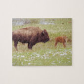 Bison en kalf in geelsteen legpuzzel (Horizontaal)