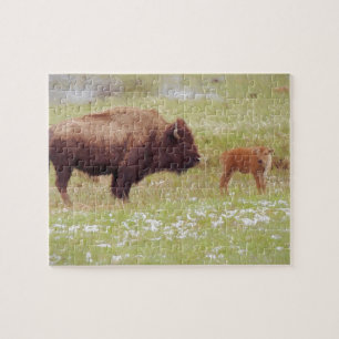 Bison en kalf in geelsteen legpuzzel