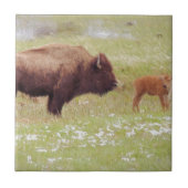 Bison en kalf in geelsteen tegeltje (Voorkant)