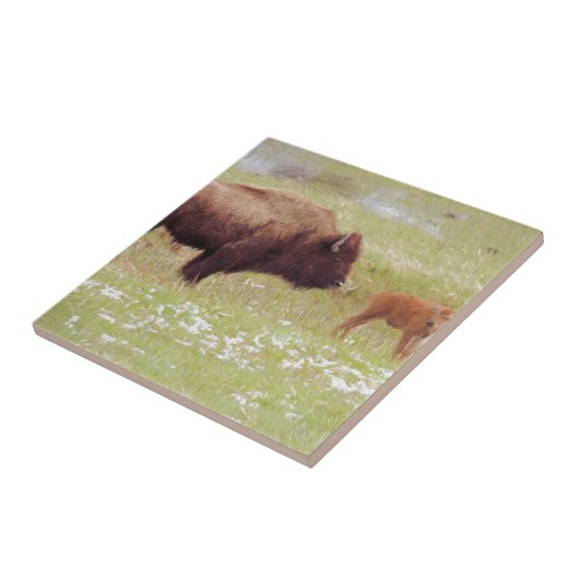 Bison en kalf in geelsteen tegeltje (Zijkant)