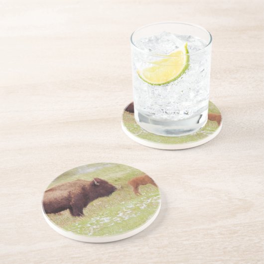 Bison en kalf in geelsteen zandsteen onderzetter (Zijkant)