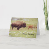 Bison en Kalf in Yellowstone Verjaardag Kaart (Voorkant)