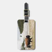 Bison en oude gelovigen bagagelabel (Voorkant verticaal)