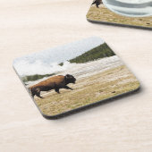 Bison en oude gelovigen bier onderzetter (Linkerzijde)