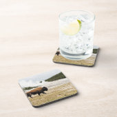 Bison en oude gelovigen bier onderzetter (Rechterzijde)