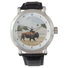 Bison en oude gelovigen horloge