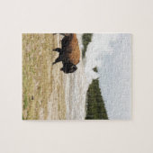 Bison en oude gelovigen legpuzzel (Horizontaal)