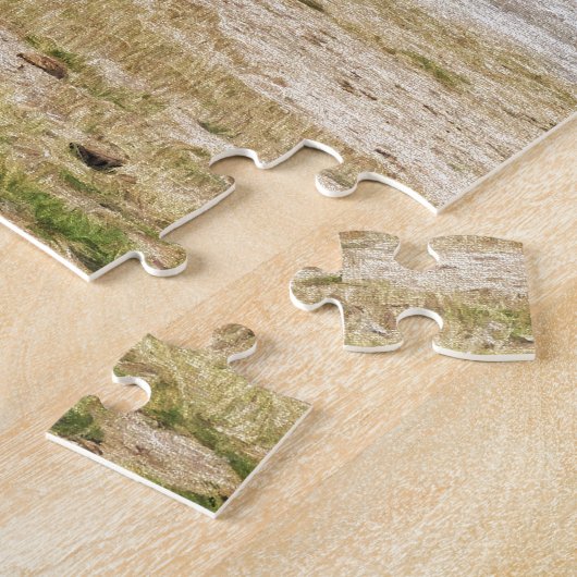 Bison en oude gelovigen legpuzzel (Zijkant)