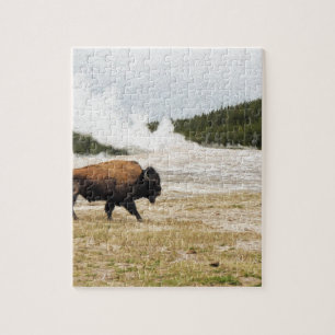 Bison en oude gelovigen legpuzzel