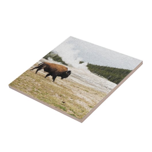 Bison en oude gelovigen tegeltje (Zijkant)