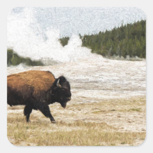 Bison en oude gelovigen vierkante sticker