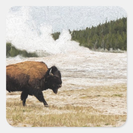 Bison en oude gelovigen vierkante sticker (Voorkant)