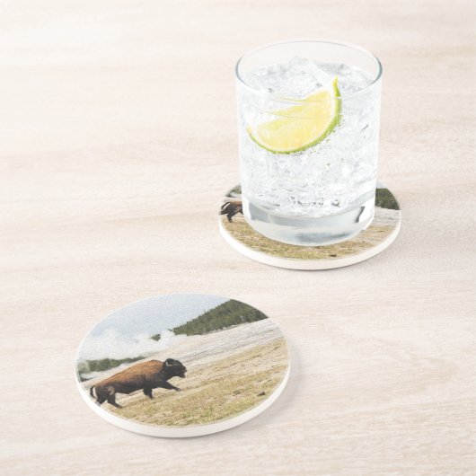 Bison en oude gelovigen zandsteen onderzetter (Zijkant)