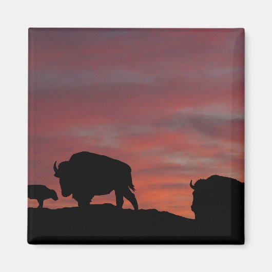 Bison familie magneet (Voorkant)