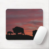 Bison familie muismat (Met muis)