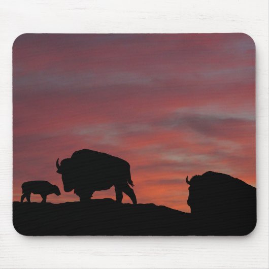 Bison familie muismat (Voorkant)
