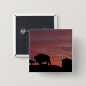 Bison familie vierkante button 5,1 cm (Voorkant /achterkant)