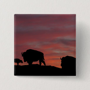 Bison familie vierkante button 5,1 cm