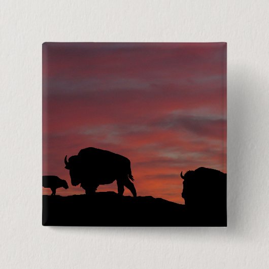 Bison familie vierkante button 5,1 cm (Voorkant)