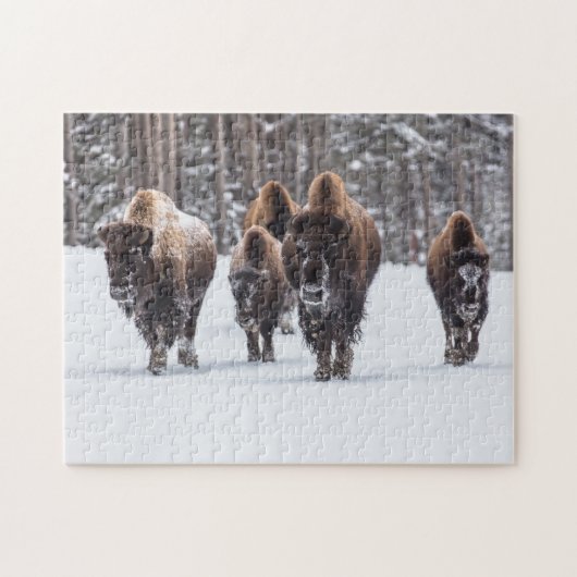 Bison Family in Snow Jigzaag Puzzle Legpuzzel (Horizontaal)