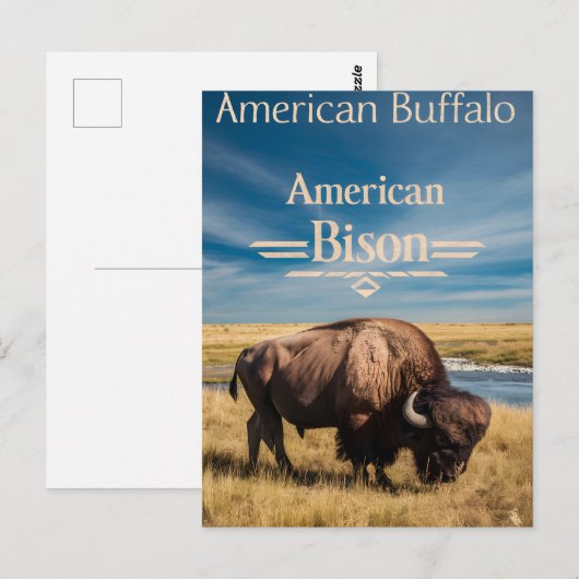 Bison Grazing aan de rivier Briefkaart (Voorkant / Achterkant)