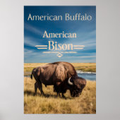 Bison Grazing aan de rivier Poster (Voorkant)