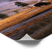 Bison grazing in het bekken van de bovenste geiser poster (Hoek)