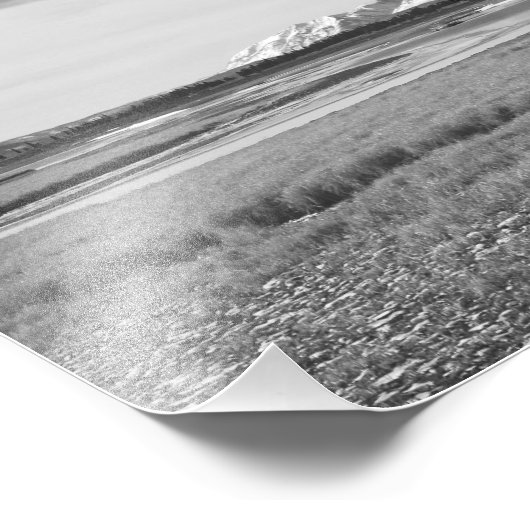 Bison Grazing in Yellowstone Black en White Foto Afdruk (Hoek)