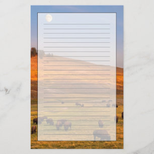 Bison Grazing on Hill op Hayden Valley Briefpapier