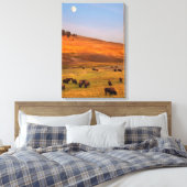 Bison Grazing on Hill op Hayden Valley Canvas Afdruk (Insitu (Slaapkamer))