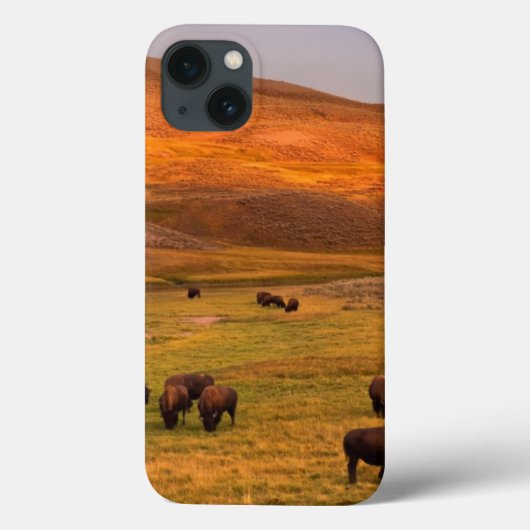 Bison Grazing on Hill op Hayden Valley Case-Mate iPhone Case (Achterkant)