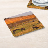 Bison Grazing on Hill op Hayden Valley Kartonnen Onderzetters (Schuin)