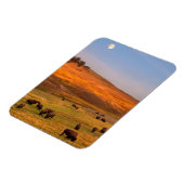 Bison Grazing on Hill op Hayden Valley Magneet (Linkerzijde)