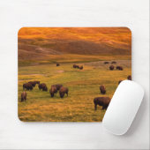 Bison Grazing on Hill op Hayden Valley Muismat (Met muis)