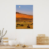 Bison Grazing on Hill op Hayden Valley Poster (Keuken)