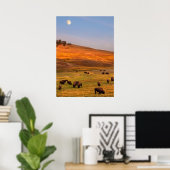 Bison Grazing on Hill op Hayden Valley Poster (Thuiskantoor)