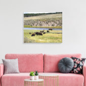 Bison, Hayden Valley, Yellowstone National Park Canvas Afdruk (Insitu (Woonkamer))