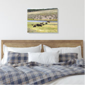 Bison, Hayden Valley, Yellowstone National Park Canvas Afdruk (Insitu (Slaapkamer))