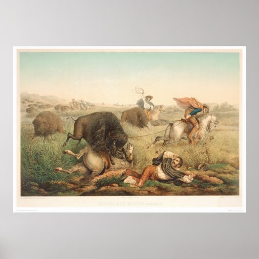 Bison Hunt (0008A) Poster (Voorkant)
